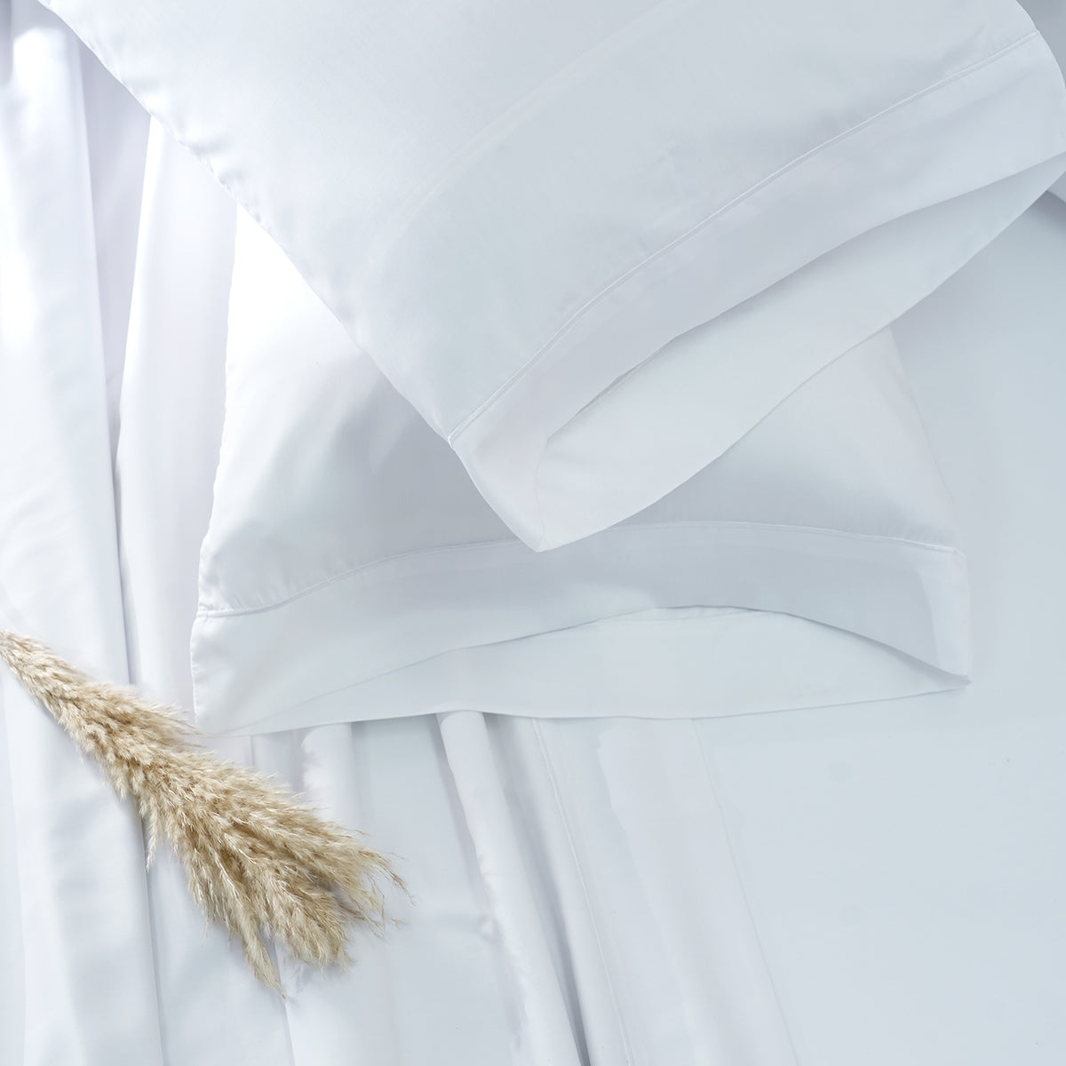 Galen Solid White Bed Sheet With Pillow Case