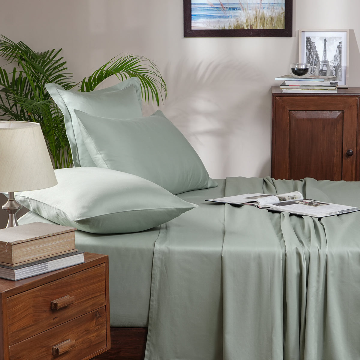 Melina Plain 100% Cotton Extra Soft & Luxurious Bed Sheet with Pillow Case