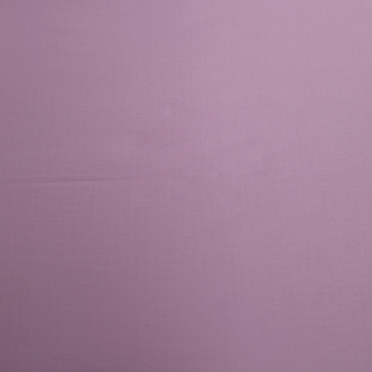 Slumber Plain Easy Care Percale 100% Cotton Dusky Orchid Fitted Sheet