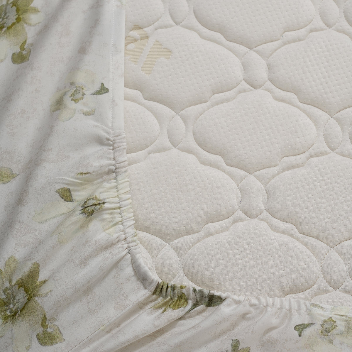 Optimist Bloom 300 TC Everly 100% Cotton Printed Fitted Sheet With Pillow Cover