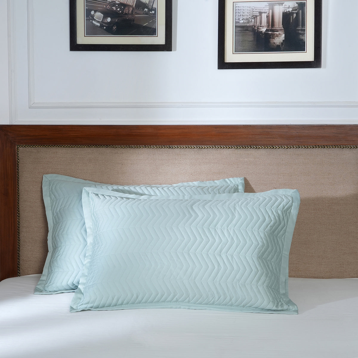 Colorart Penelope Quilted Pillow Sham Set of 2 Misty Aqua