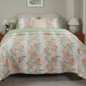 Sensory Bloom Colorsplash 4 pcs Peach Quilt Set