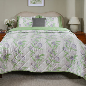 Sensory Bloom Colorsplash 6 pcs Lilac Bed Box Set