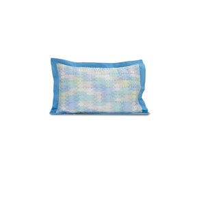 Hexon Quilted 2PC Pillow Sham Set