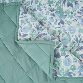 Sensory Bloom Zesty 6 pcs Aqua Bed Box Set