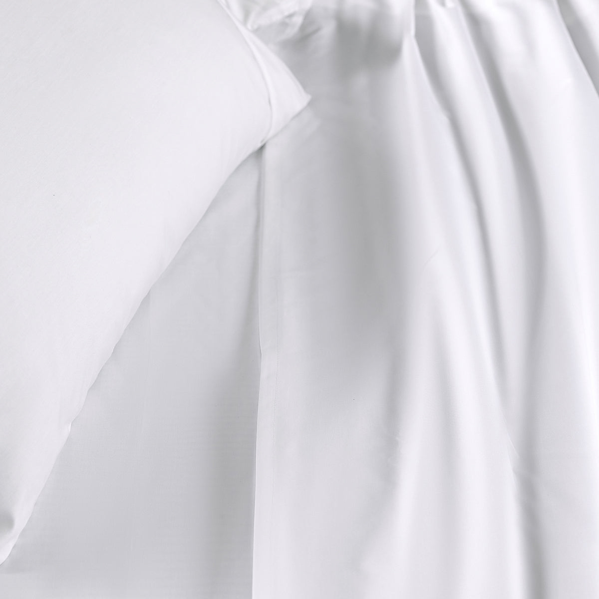 Eden Crisp & Light Weight 100% Cotton Solid White Bed Sheet with Pillow Case