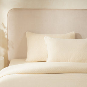 Blaize 100% Cotton Solid Weave Beige Pillow Sham Set