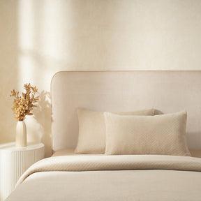 Blaize 100% Cotton Solid Weave Grey Pillow Sham Set