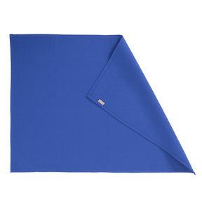 Celtic / Russel Blue 3 Pc Kitchen Towel