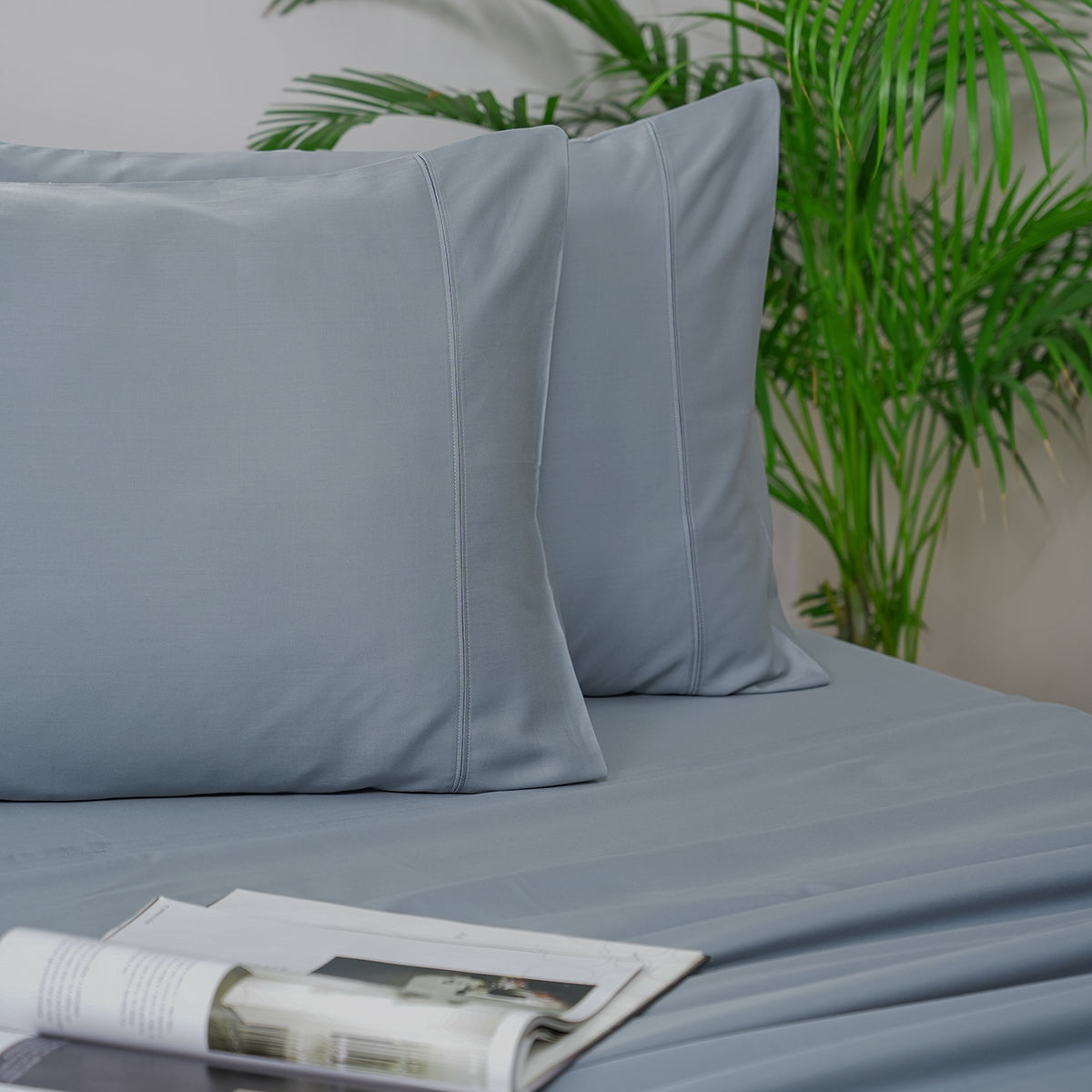Melina Plain 100% Cotton Extra Soft & Luxurious Bed Sheet with Pillow Case