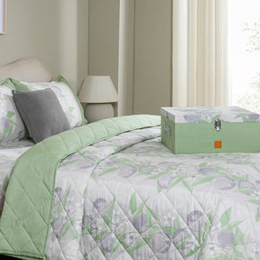 Sensory Bloom Colorsplash 6 pcs Lilac Bed Box Set