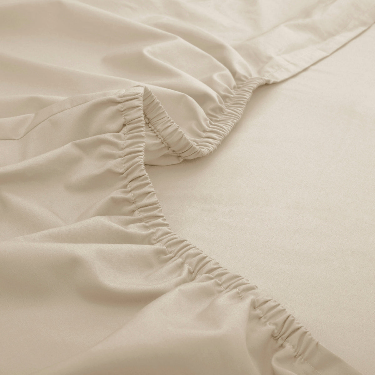 Slumber Plain Easy Care Percale 100% Cotton Ecru Fitted Sheet