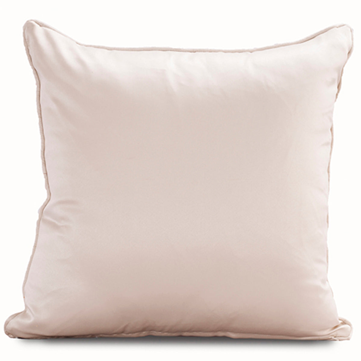Brianna Solid Cushion Cover
