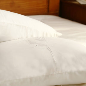 Rubert Water Repellent Pillow Protector